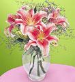 The FTD Pink Lily  Bouquet