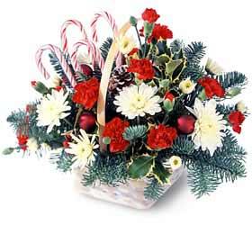 The FTD? Candy Cane Lane? Bouquet