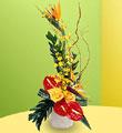 The FTD Tropical Bright  Arrangement