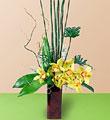 The FTD Touch of Tropics Arrangement