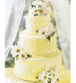 The FTD Daisy Delight Cake Decoration
