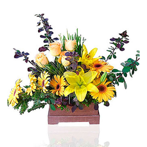 Arrangement of Cut Flowers