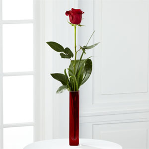 The FTD Deeply Devoted Bouquet