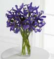 The FTD Iris Riches Bouquet