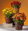 The FTD Bright Harvest Basket