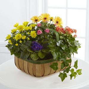 The FTD Gentle Blossoms Basket