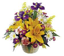 The FTD Natural Wonders Bouquet