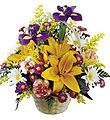The FTD Natural Wonders Bouquet