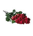 One Dozen Boxed Roses