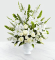 The FTD Morning Stars Arrangement