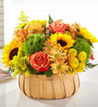 The FTD Harvest Sunflower Basket 