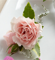 The FTD Pink Spray Rose Boutonniere