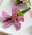 The FTD Pink Mokara Boutonniere