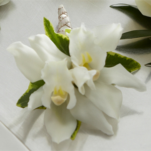 The FTD White Mini Cymbidium Boutonniere