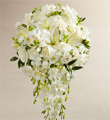 The FTD White Wonders Bouquet